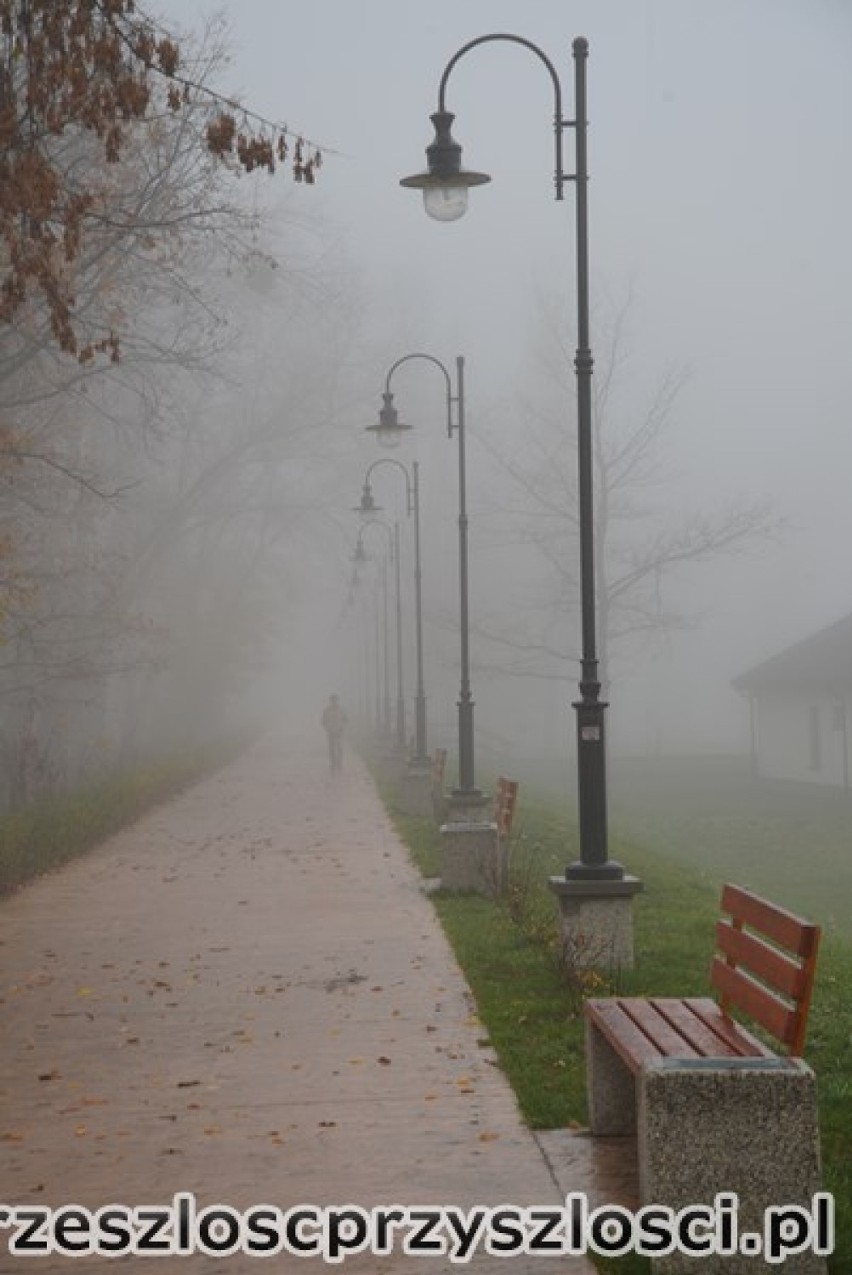 Puławska Marina spowita mgłą w jesienne przedpołudnie