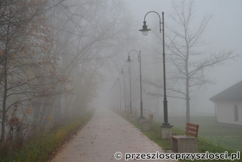Puławska Marina spowita mgłą w jesienne przedpołudnie