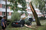 Kraków. Krajobraz po burzy na osiedlu Podwawelskim. Zniszczone samochody, powalone potężne drzewa, zablokowane drogi