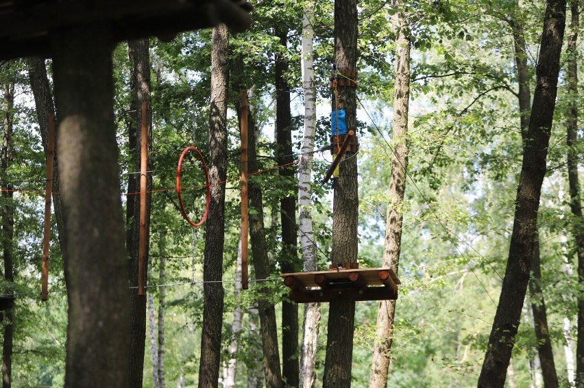 Zmodernizowany park linowy na Gutwinie jest już otwarty. Oferuje wiele atrakcji dla amatorów aktywnego odpoczynku. Zobaczcie zdjęcia 