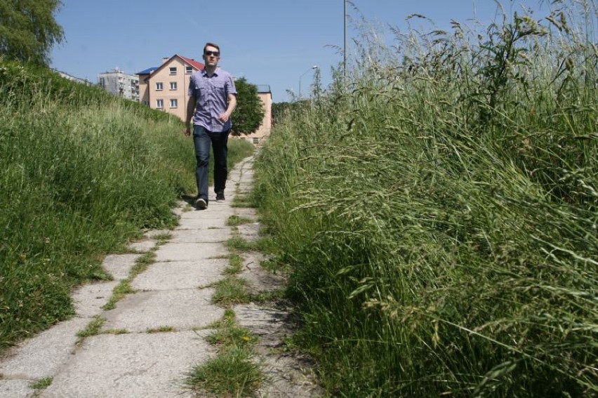 Na ulicy Kryształowej piesi chodzą w tunelu z trawy.