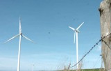 Słupsk. Ruszy największa elektrownia wiatrowa w Polsce