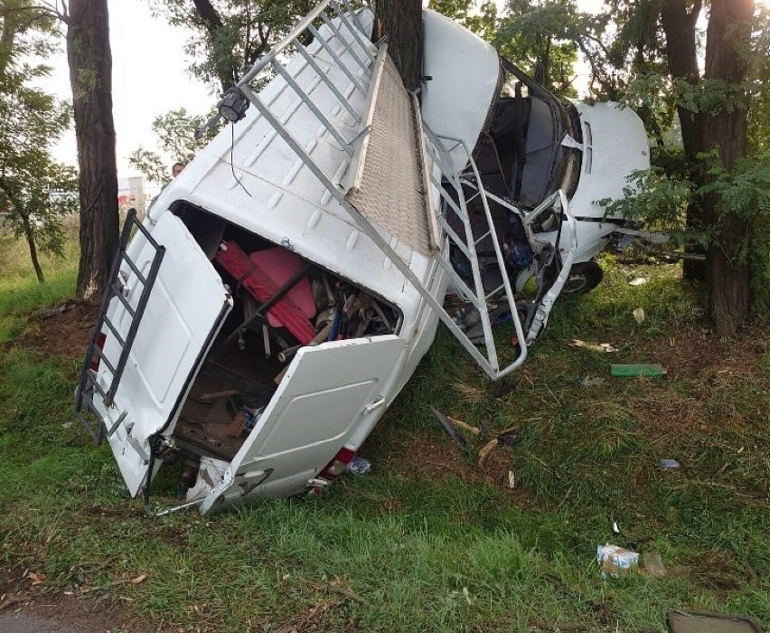 Wypadek w pobliżu Leszna. Kierowca busa dwukrotnie uderzył w drzewo 