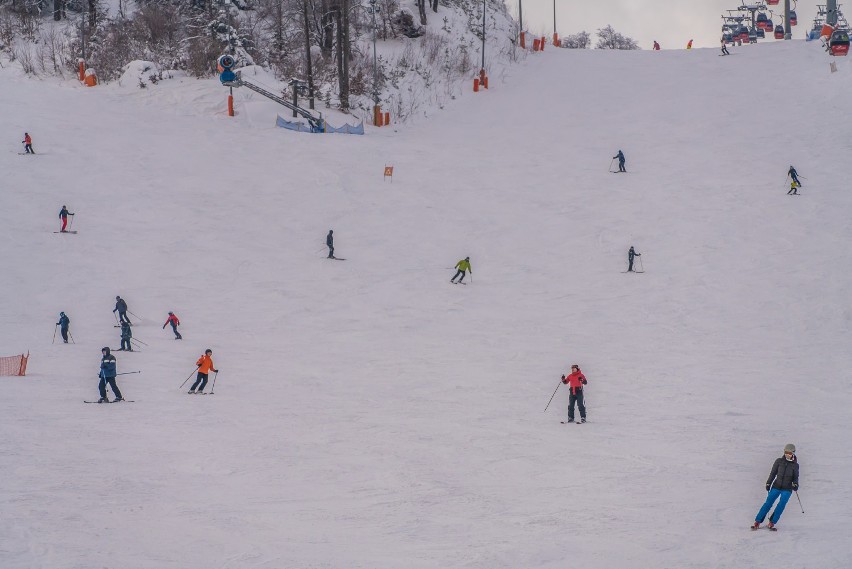 Krynica-Zdrój. Na Jaworzynie idealne warunki dla narciarzy