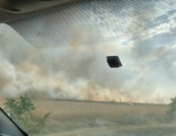 Duży pożar zboża na pniu. Dym widać z kilkudziesięciu kilometrów!
