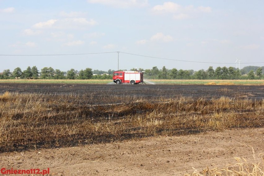 Pożar zboża w Arcugowie [FOTO]