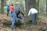 Uczniowie Gimnazjum w Ostrówku uporządkowali zapomniany cmentarz ewangelicki[ZDJĘCIA]