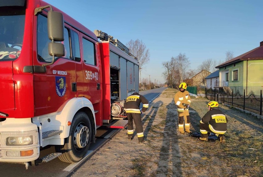 Powiat chełmski. Strażacy z OSP Wierzbica uratowali psa z Koziej Góry