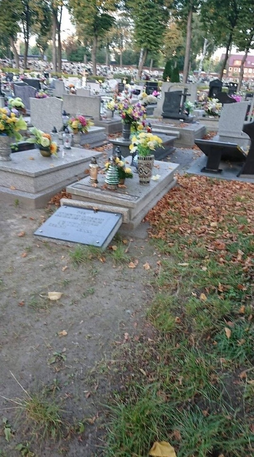 Zniszczony cmentarz w Siemianowicach Śląskich