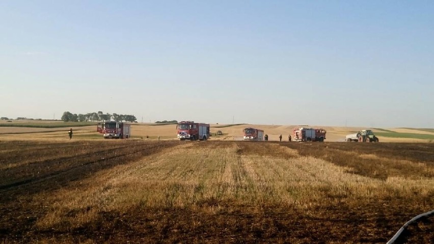 Błyskawiczna akcja strażaków uratowała setki hektarów zboża