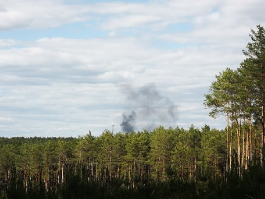 Słup dymu nad Puszczą Notecką widziany z bardzo dużej...