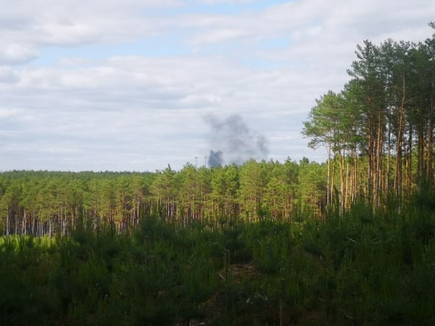 Słup dymu nad Puszczą Notecką widziany z bardzo dużej...