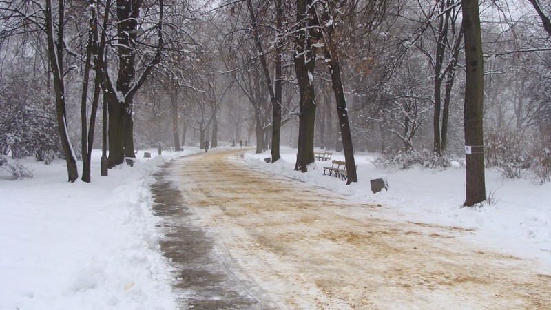 Śnieżna zima w Parku Skaryszewskim [ZDJĘCIA]