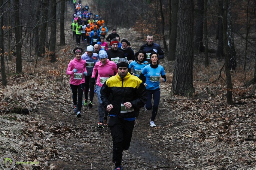 City Trail w Katowicach - zdjęcia z finałowego biegu [28 luty 2016]