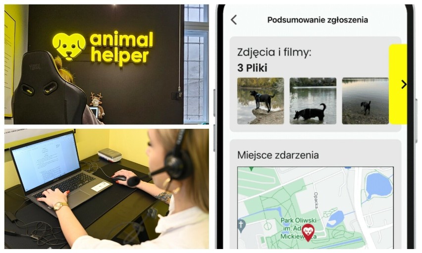 To prawdziwe "112 dla zwierząt". W aplikacji Animal Helper można zgłaszać przypadki, gdy zwierzętom dzieje się krzywda