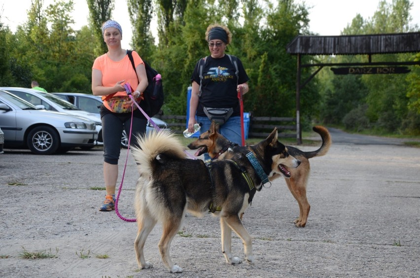 Rajd Dog Orient na górze Kamieńsk.Blisko setka uczestników wędrowała leśnymi ścieżkami kopalnianej góry [ZDJĘCIA]