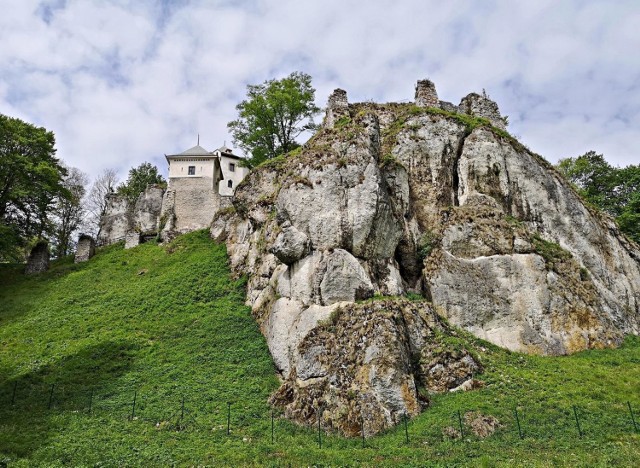 Ruiny Zamku w Ojcowie, Kazimierza Wielkiego z 2. połowy XIV wieku.