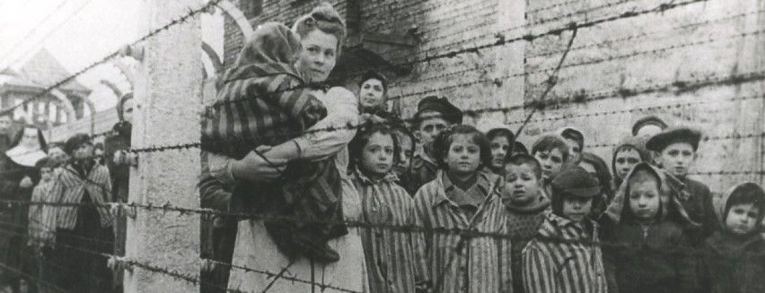 27 stycznia 1945 r. na terenie Auschwitz oswobodzono nieco...