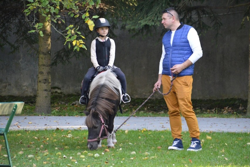 Spotkanie miłośników zwierząt w parafii Narodzenia NMP w...