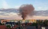 Spłonęła stodoła na ul. Uroczej w Rzeszowie. Do akcji wyjechało 7 zastępów strażaków PSP i OSP [ZDJĘCIA]