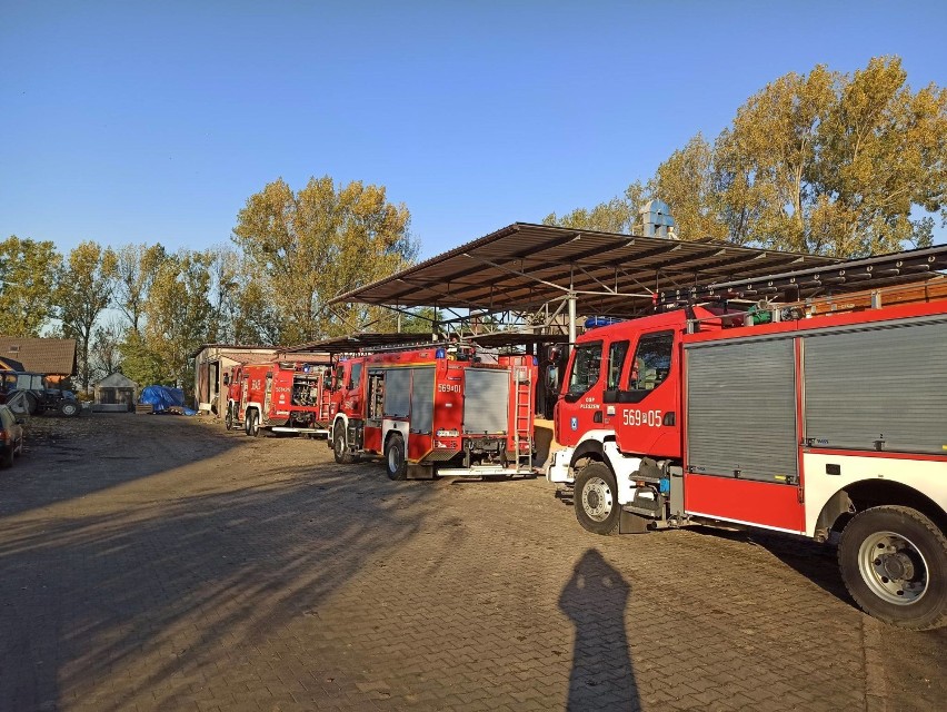 Strażacy gasili pożar w Baranówku [ZDJĘCIA]  