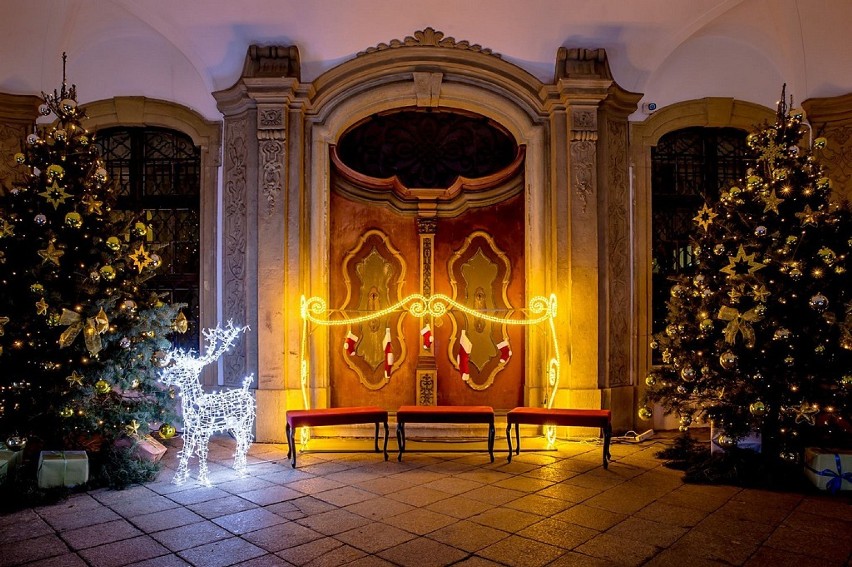 Wałbrzych: Zimowy Ogród Świętego Mikołaja na zamku Książ [ZDJĘCIA]