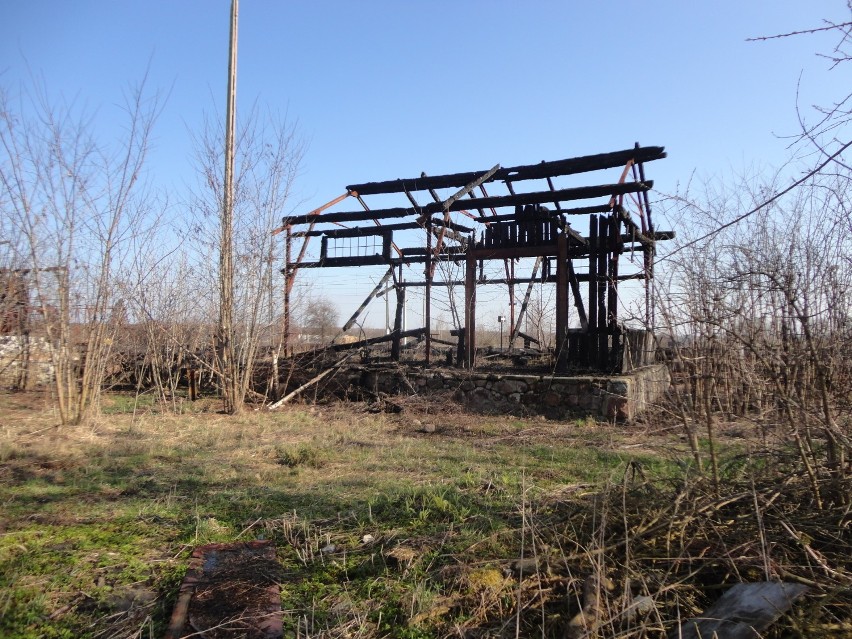 Zapomniany dworzec "Puławy Drewniane" popada w ruinę