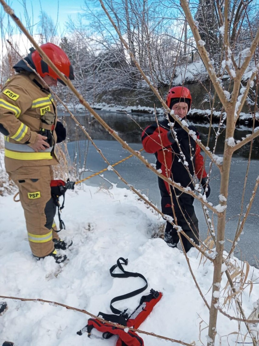Pracowity weekend dla strażaków. Ratowali psa z lodowatej wody i gasili pożar mieszkania w Kowarach