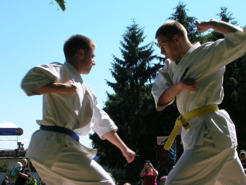 Karatecy LKKK w akcji