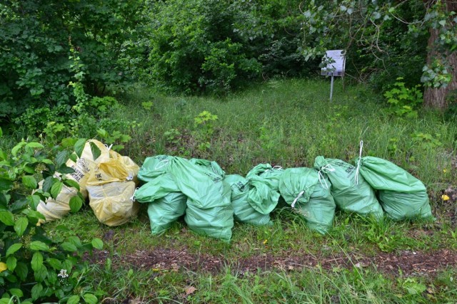 W ciągu kilku godzin jedna osoba (przez pewien czas dwie) zebrała 24 worki śmieci.
