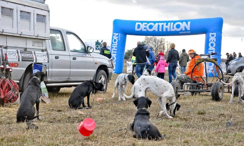 Wyścigi psich zaprzęgów 2015 [FOTO]