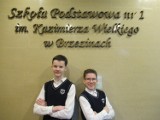 Uczniowie brzezińskich szkół z sukcesami w Wojewódzkich Konkursach Przedmiotowych