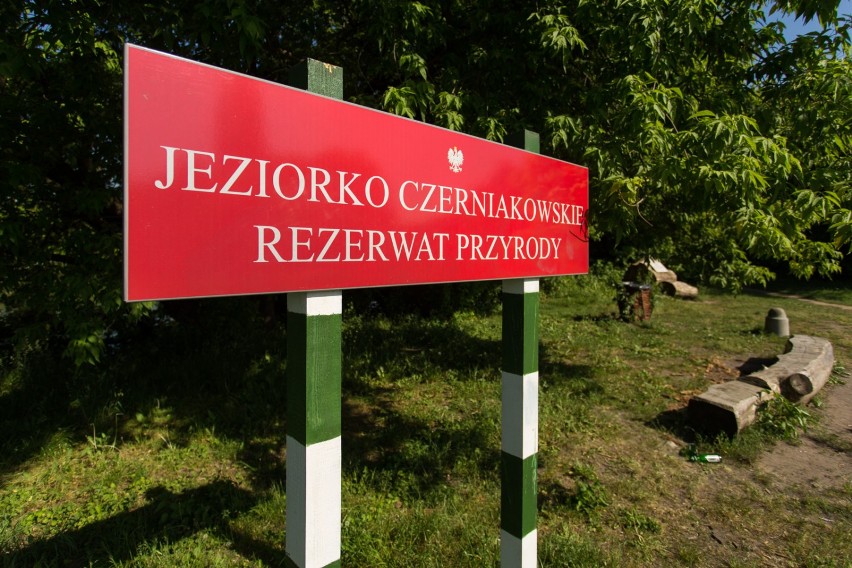 Jeziorko Czerniakowskie, Warszawa. Zakaz kąpieli w Jeziorku Czerniakowskim. Nad kąpieliskiem powiewa czerwona flaga