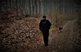 Gmina Karsin. W nocy policjanci i strażacy szukali zaginionej 45-latki. Kobietę znaleziono w lesie w Borach Tucholskich 