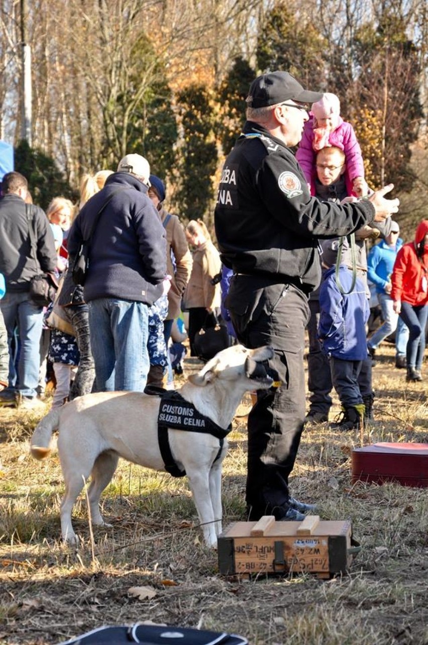 Wyścigi psich zaprzęgów 2015 [FOTO]