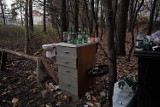 Leśna imprezownia w Olkuszu, jakiej jeszcze nie widziałeś. Mają tam meble, kubeł na śmieci i nawet... toaletę. Zobaczcie zdjęcia  