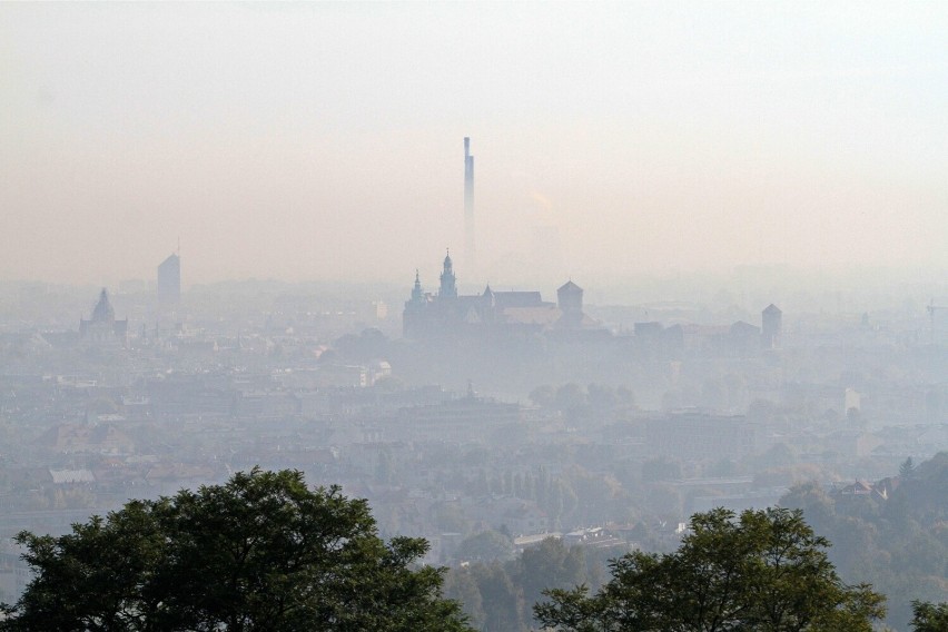 Pomysł na maskotkę igrzysk europejskich w Krakowie i Małopolsce w chmurze duszącego smogu