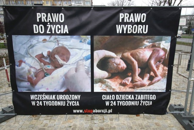 Na  bilbordach widać niezwykle drastyczne zdjęcia, przedstawiające między innymi ciało  zabitego w 24 tygodniu życia dziecka. Na wystawie znajdują się także plakaty na których krytykowane jest in - vitro.