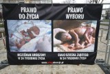 Zdjęcia martwych dzieci przy kościele w Kielcach. Sprawę bada policja