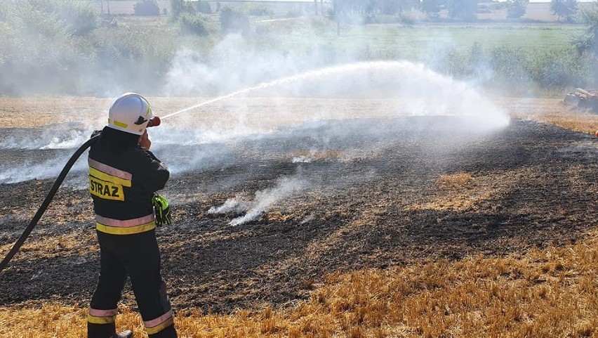 Kiszkowo: pożar ścierniska. Na miejsce przyjechała straż