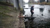 OSP Ratownictwo Wodne w Pile: strażacy wyczyścili rzekę