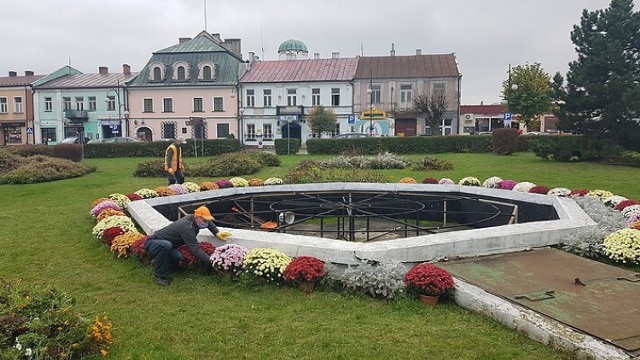 Jędrzejowski rynek przyozdobiły kolorowe chryzantemy. Miasto i gmina wspiera lokalnych producentów i sprzedawców.