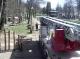 Z Parku Zdrojowego w Jastrzębiu wycięto trzy drzewa. Naruszyła je wichura, po której zagrażały bezpieczeństwu odwiedzających go osób