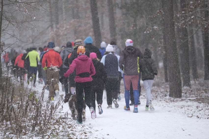 Parkrun Toruń zimową porą. Mamy zdjęcia z biegu!