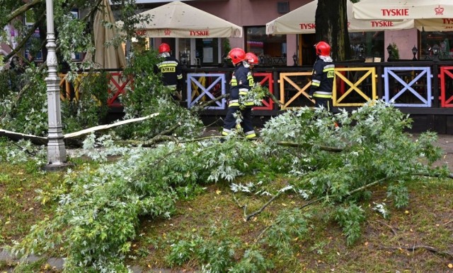 Do groźnego incydentu doszło w czwartkowe przedpołudnie na kieleckich Plantach. Konar odłamał się od drzewa i upadł na chodnik i ogródek restauracji. 

>>> ZOBACZ WIĘCEJ NA KOLEJNYCH ZDJĘCIACH 