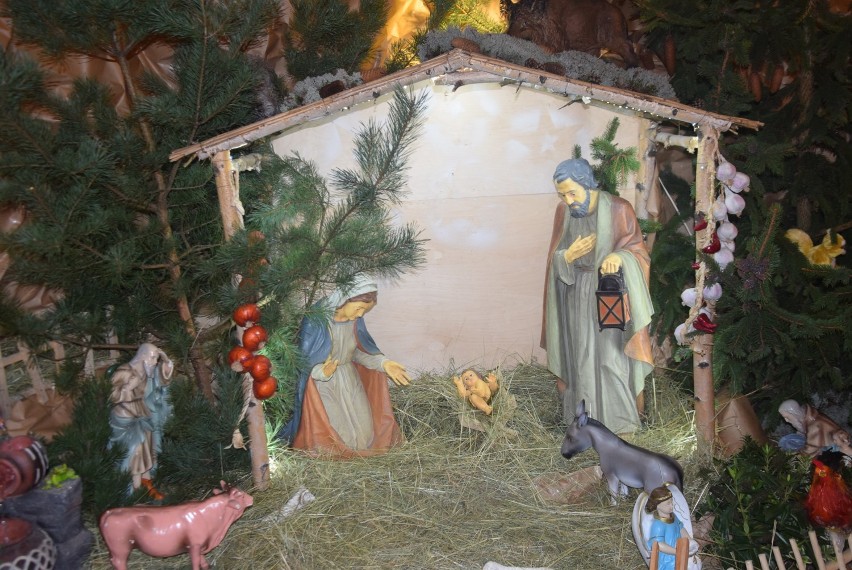 Szopka bożonarodzeniowa w Sanktuarium w Charłupi Małej jest...