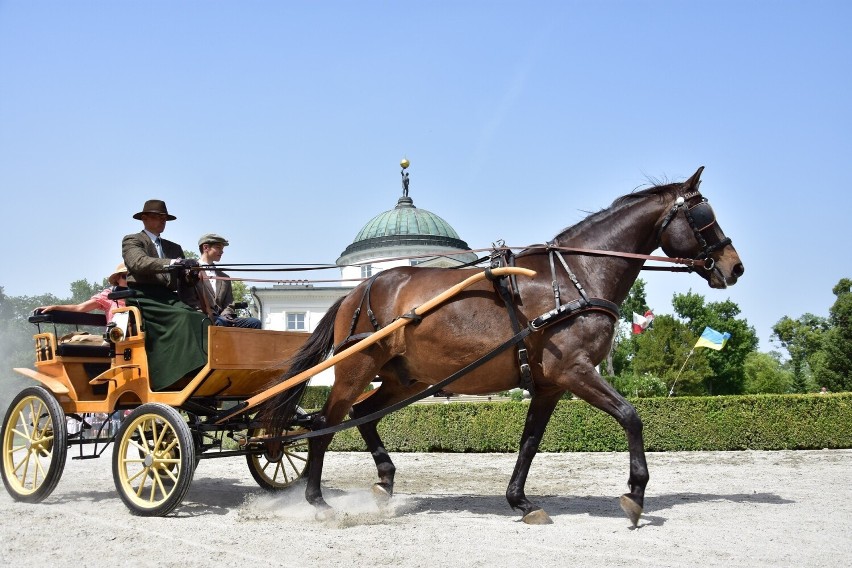 Konkurs Pojazdów Konnych 2022 w Pałacu Lubostroń....