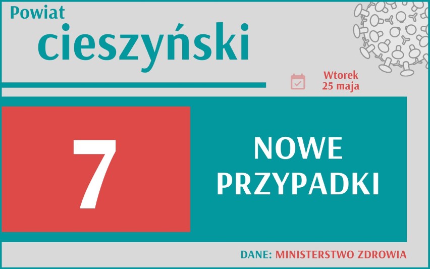 1 000 nowych przypadków koronawirusa w Polsce, 121 w woj....