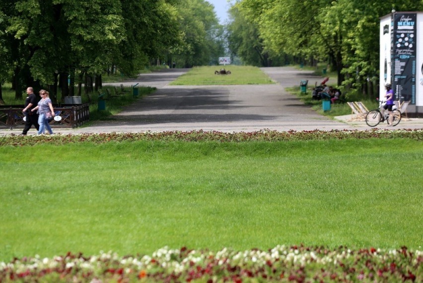 Chorzów jako najbardziej zielone miasto w Polsce stara się...