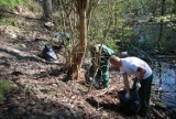 Osadzeni z Zakładu Karnego w Malborku sprzątali Park Krajobrazowy Mierzeja Wiślana